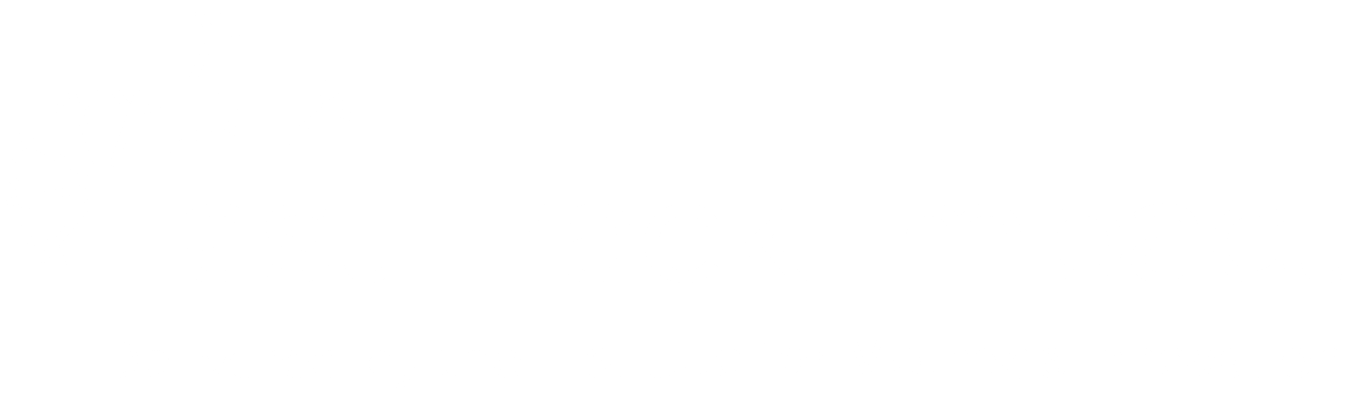 Fast Track Impact logo